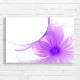 Abstract Purple Orchid Canvas Print