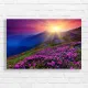 Mountain Sunrise Rhododendron Meadow Canvas Print