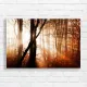 Enchanting Forest Light Canvas Print