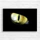 Mystic Green Cat Eye Canvas Print