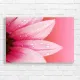 Pink Flower Dew Drops Canvas Print for Serene Decor
