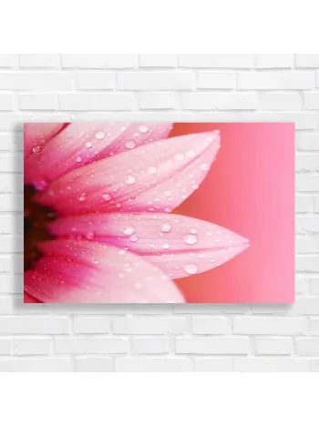 Pink Flower Dew Drops Canvas Print for Serene Decor